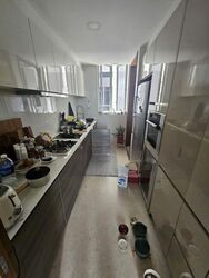 The Meyerise (D15), Condominium #543019321